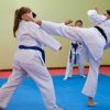 team karate arzachena