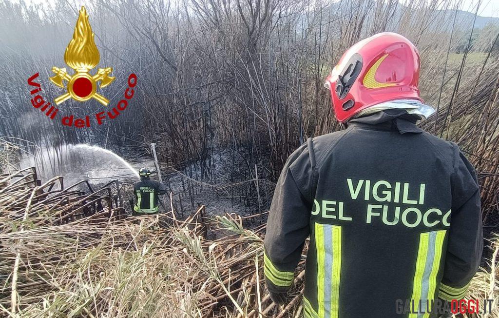 Incendio nelle campagne di Arzachena a ridosso della strada