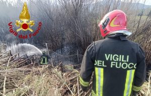 Incendio nelle campagne di Arzachena a ridosso della strada