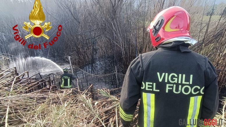 Incendio nelle campagne di Arzachena a ridosso della strada