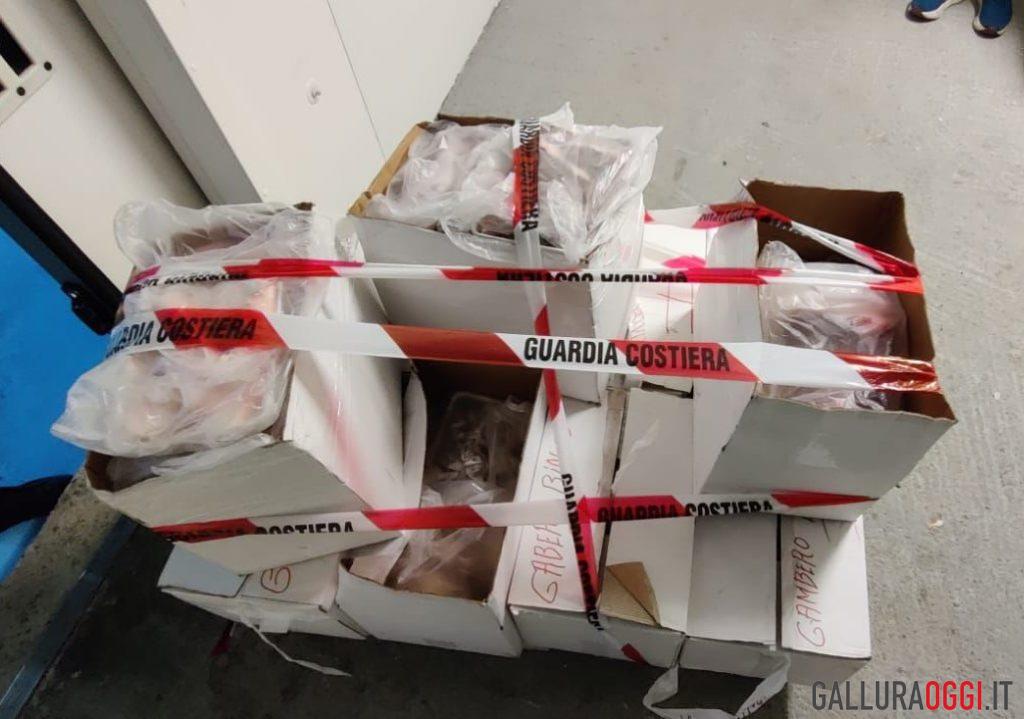 Pesca illegale a Golfo Aranci, la multa è salata