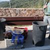 Sequestrati oltre mille ricci di mare a Trinità d'Agultu