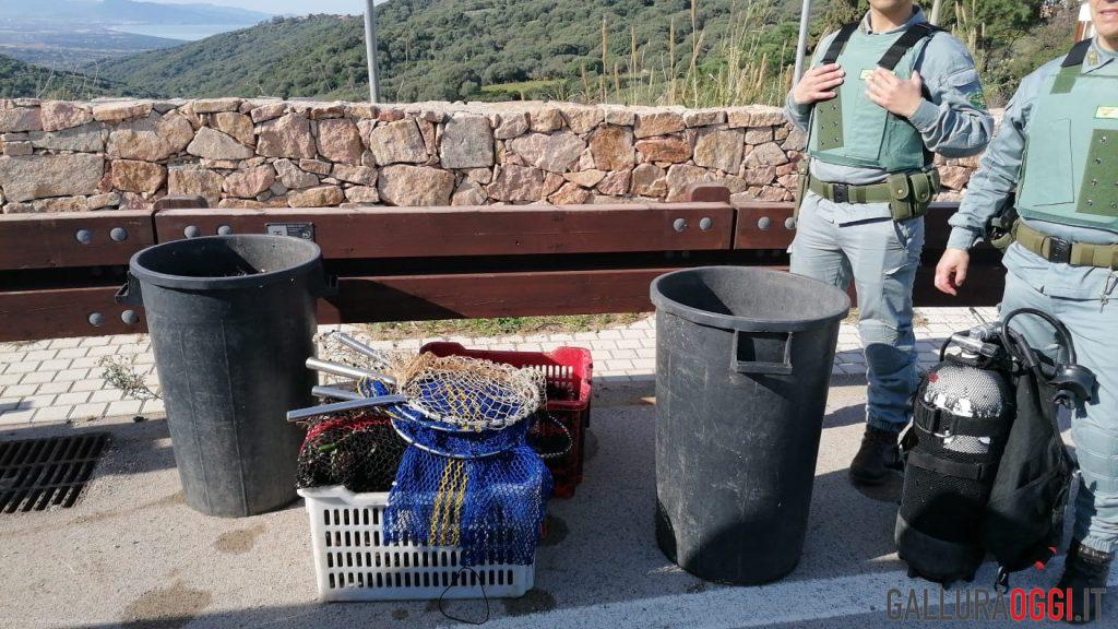 Sequestrati oltre mille ricci di mare a Trinità d'Agultu