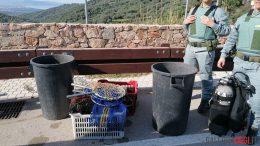 Sequestrati oltre mille ricci di mare a Trinità d'Agultu