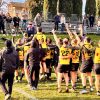 olbia rugby arezzo