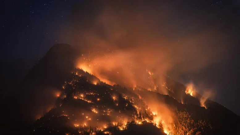 berchidda incendio cavi alta tensione