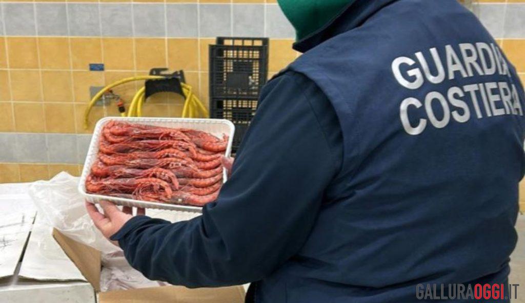 Sequestrati oltre 200 chili di gamberi a Golfo Aranci