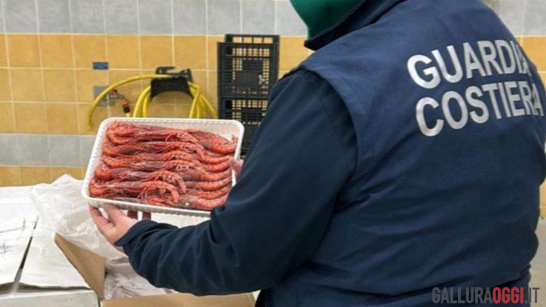Sequestrati oltre 200 chili di gamberi a Golfo Aranci