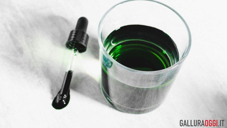 clorofilla liquida
