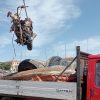 Giornate ecologiche a La Maddalena, in arrivo pulizia fondali e isole