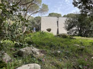Museo Organica