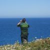 Fratelli Olbia scomparsi Golfo aranci