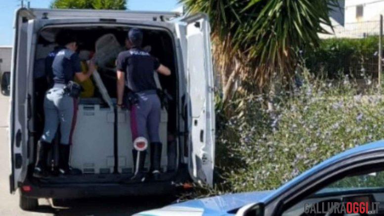 Alimenti surgelati in cattivo stato sequestrati al porto di Olbia