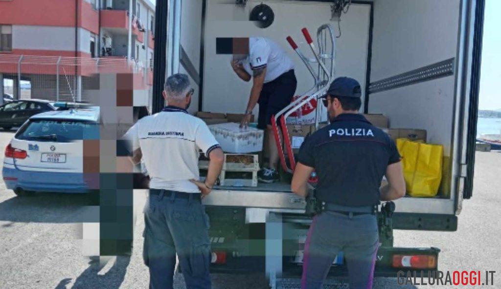 Tonno non tracciato destinato alla Costa Smeralda: sequestrato