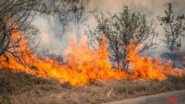 Incendio