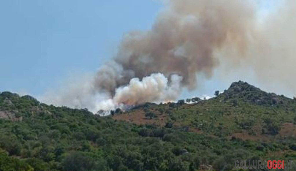 Grosso incendio a Loiri, in fiamme oltre 50 ettari di terreno