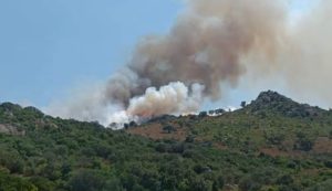 Grosso incendio a Loiri, in fiamme oltre 50 ettari di terreno