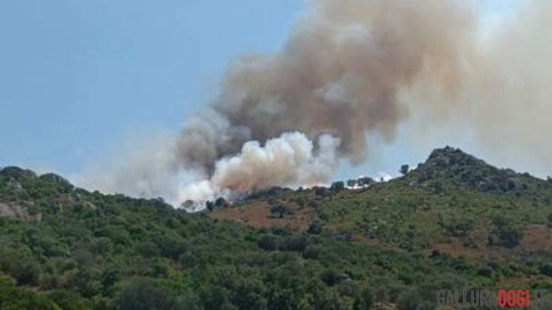 Grosso incendio a Loiri, in fiamme oltre 50 ettari di terreno
