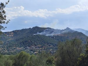 Incendio a Loiri Porto San Paolo, in azione elicotteri e Canadair