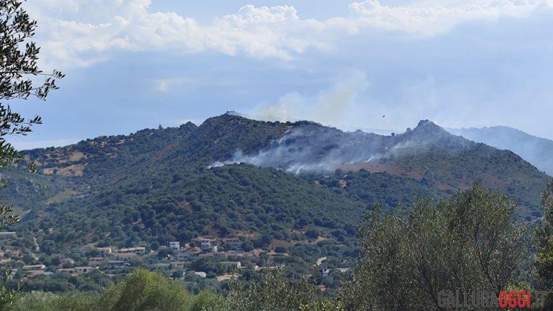 Incendio a Loiri Porto San Paolo, in azione elicotteri e Canadair