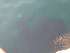 Paura nel porto di Palau, auto cade in acqua