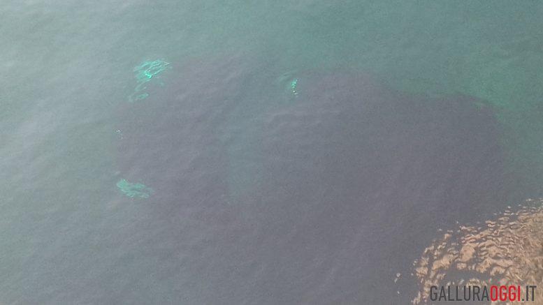 Paura nel porto di Palau, auto cade in acqua