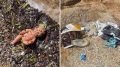 Plastica e microplastica sommergono le coste di Palau, l’allarme