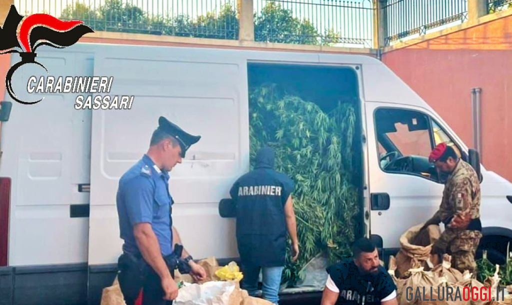 Droga Arzachena