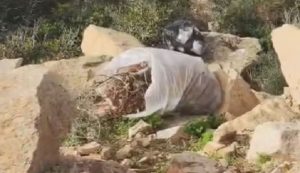 La Maddalena, ancora rifiuti abbandonati in zona Colmi