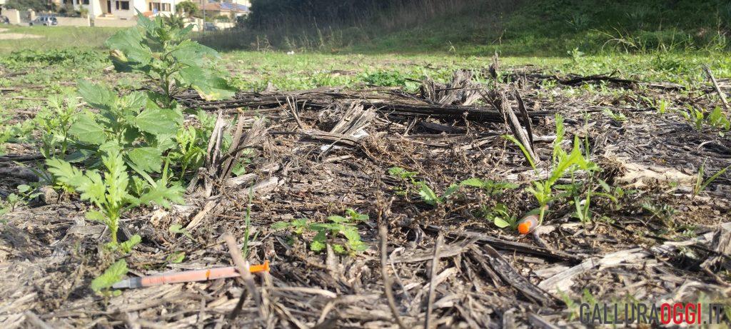 Torna l’incubo dell’eroina a Olbia, siringhe nelle aree verdi e nei parcheggi