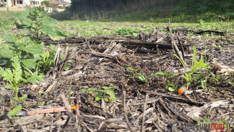 Torna l’incubo dell’eroina a Olbia, siringhe nelle aree verdi e nei parcheggi