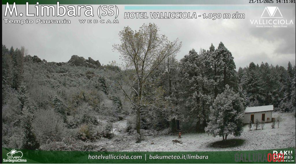 Neve Limbara
