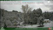 Neve Limbara
