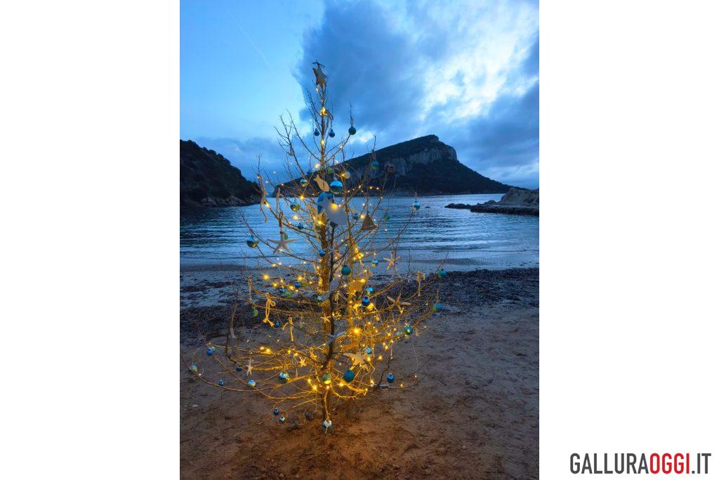 Albero di Natale Golfo Aranci