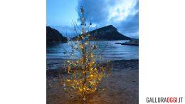 Albero di Natale Golfo Aranci