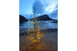 Albero di Natale Golfo Aranci