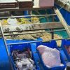 La Maddalena punta sulla pesca sostenibile con le cassette riutilizzabili