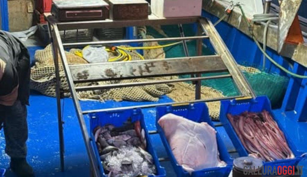 La Maddalena punta sulla pesca sostenibile con le cassette riutilizzabili