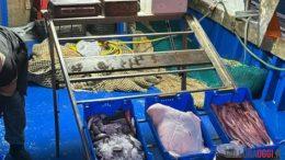 La Maddalena punta sulla pesca sostenibile con le cassette riutilizzabili