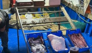 La Maddalena punta sulla pesca sostenibile con le cassette riutilizzabili