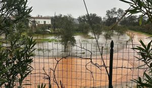 Maltempo in Gallura, numerosi allagamenti anche ad Arzachena