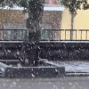 Crollano le temperature, arriva la neve Tempio si veste di bianco