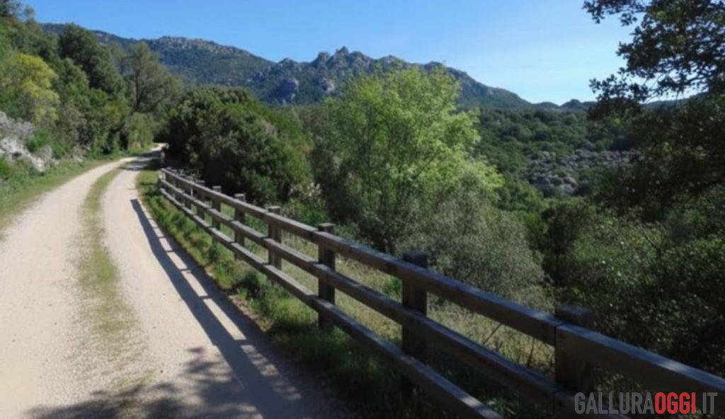 Passeggiate e bici, il fascino della ex ferrovia Calangianus-Monti