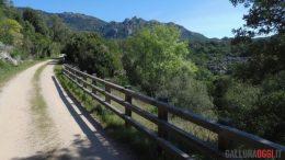Passeggiate e bici, il fascino della ex ferrovia Calangianus-Monti