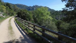 Passeggiate e bici, il fascino della ex ferrovia Calangianus-Monti