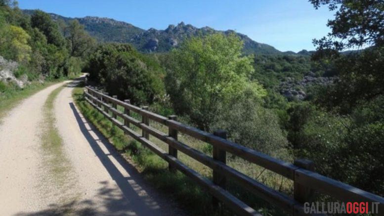 Passeggiate e bici, il fascino della ex ferrovia Calangianus-Monti