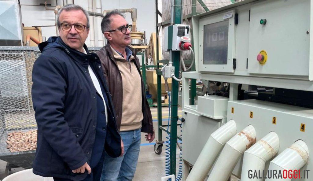 Berchidda, la Regione punta sul distretto del sughero