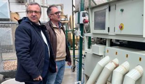 Berchidda, la Regione punta sul distretto del sughero