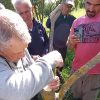Ad Arzachena un corso di potatura ulivi, tra teoria e pratica