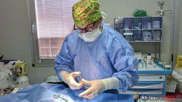 Veterinario ambulatorio